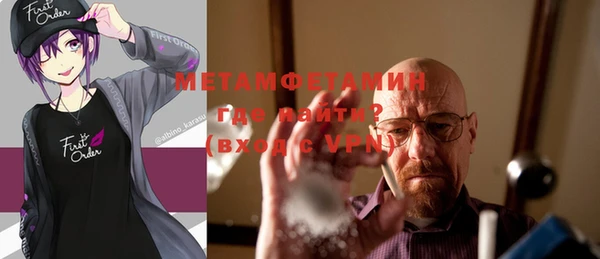 шишки Магас