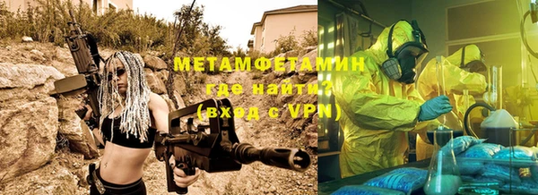 шишки Магас