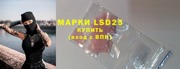 шишки Магас