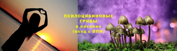 шишки Магас