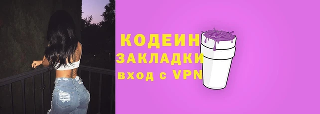 шишки Магас