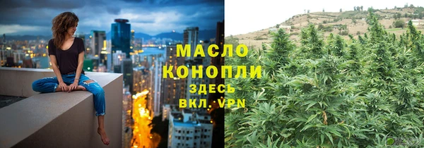 шишки Магас