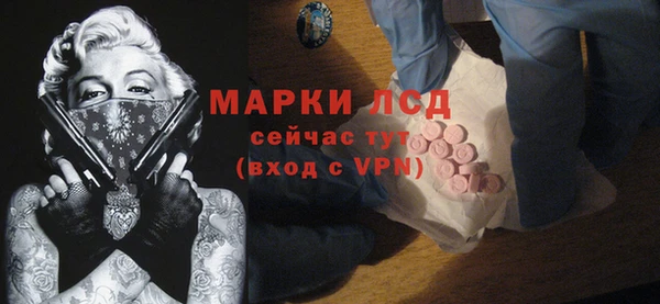 шишки Магас
