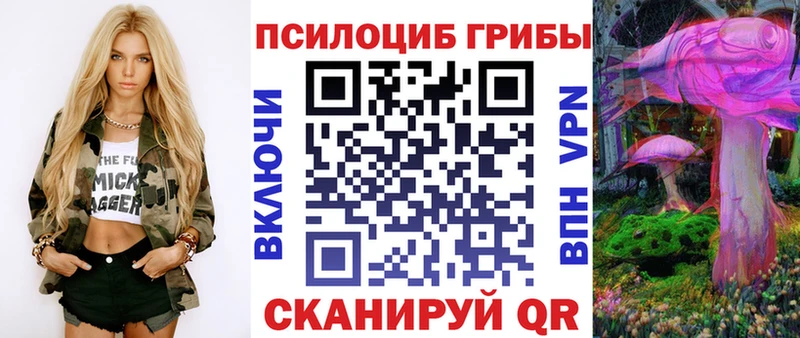 магазин  наркотиков  Эртиль  Псилоцибиновые грибы Cubensis 